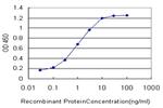 GRM7 Antibody in ELISA (ELISA)