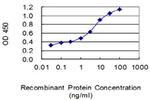 CXCL2 Monoclonal Antibody (2D10)