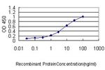 GSTA1 Antibody in ELISA (ELISA)
