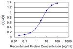 GSTA2 Antibody in ELISA (ELISA)