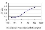 GSTA3 Antibody in ELISA (ELISA)