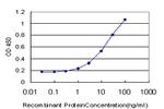 GUCY2C Antibody in ELISA (ELISA)