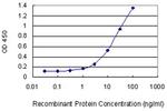 GZMB Monoclonal Antibody (4F5)