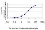 HBB Antibody in ELISA (ELISA)