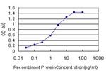 HCRTR2 Antibody in ELISA (ELISA)