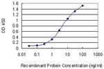UBE2K Monoclonal Antibody (1D10)