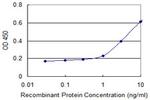 HLA-DQB1 Antibody in ELISA (ELISA)