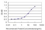 MR1 Antibody in ELISA (ELISA)