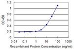 HOXB9 Antibody in ELISA (ELISA)