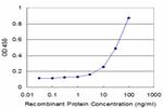 HOXC5 Antibody in ELISA (ELISA)