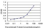 HOXC12 Antibody in ELISA (ELISA)