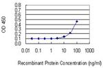 HPN Monoclonal Antibody (2D5)