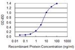 HES1 Monoclonal Antibody (1A6)