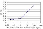 ID1 Monoclonal Antibody (2C7)
