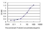 SP110 Antibody in ELISA (ELISA)