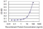 IFNAR1 Monoclonal Antibody (1H2)