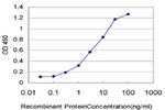 IL8 Antibody in ELISA (ELISA)