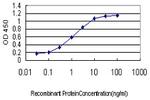 ING1 Antibody in ELISA (ELISA)