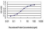 ING1 Antibody in ELISA (ELISA)