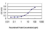 INSRR Antibody in ELISA (ELISA)