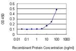 IPP Monoclonal Antibody (4C2)