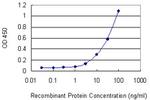 ITGAM Antibody in ELISA (ELISA)