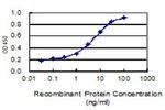 ITGAX Antibody in ELISA (ELISA)