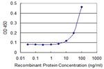 ITPA Monoclonal Antibody (2H8)