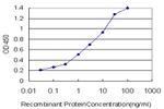KDR Monoclonal Antibody (2C5)