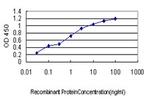 LETM1 Antibody in ELISA (ELISA)
