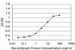 MCM3 Antibody in ELISA (ELISA)