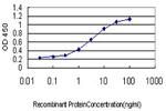 MEFV Monoclonal Antibody (4E6)