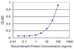 MLLT6 Antibody in ELISA (ELISA)