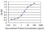 MSR1 Monoclonal Antibody (2G9)