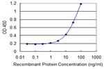 MTAP Monoclonal Antibody (4C8)