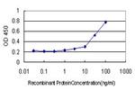MTM1 Antibody in ELISA (ELISA)
