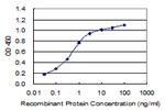 ND1 Antibody in ELISA (ELISA)