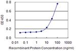 MUC5AC Monoclonal Antibody (2A4)