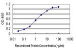 MYBPH Antibody in ELISA (ELISA)