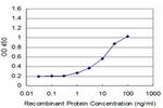 MYOG Antibody in ELISA (ELISA)