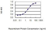 MYOG Antibody in ELISA (ELISA)