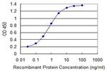 NDUFA8 Antibody in ELISA (ELISA)