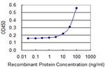 SEPT2 Monoclonal Antibody (2F8)
