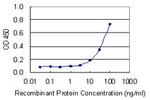 NOS3 Monoclonal Antibody (1D12)