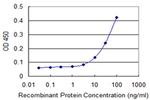 NPR2 Antibody in ELISA (ELISA)