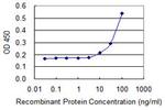 NPR2 Antibody in ELISA (ELISA)