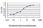 PBX1 Antibody in ELISA (ELISA)