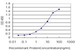 PCDH7 Antibody in ELISA (ELISA)