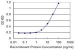 PCSK2 Monoclonal Antibody (3H4)
