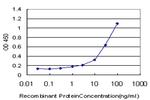 PGGT1B Antibody in ELISA (ELISA)